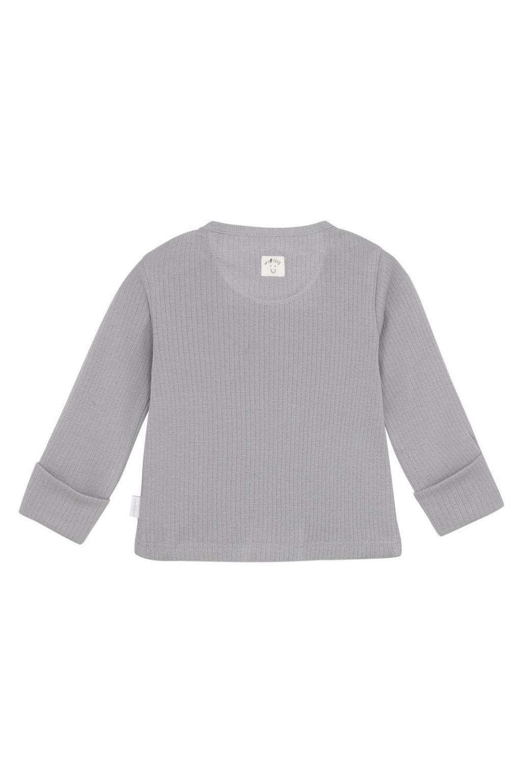 Longsleeve Shiner - Sleet