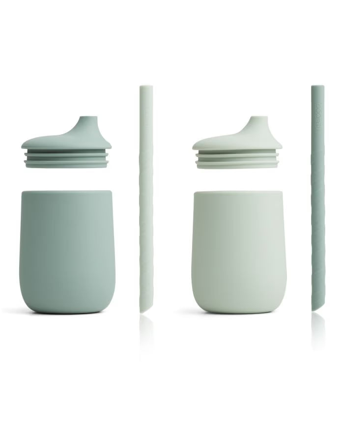 ELLIS SIPPY CUP 2PACK